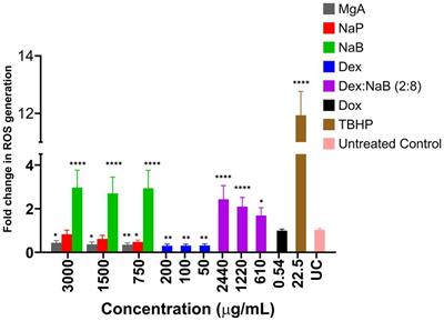 The postbiotic sodium butyrate synergizes the antiproliferative effects of dexamethasone against the AGS gastric adenocarcinoma cells